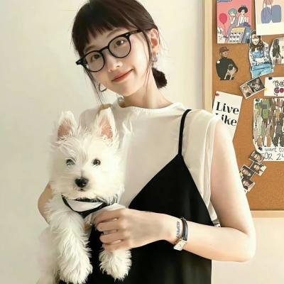 名侦探洪吉童:消失的村庄